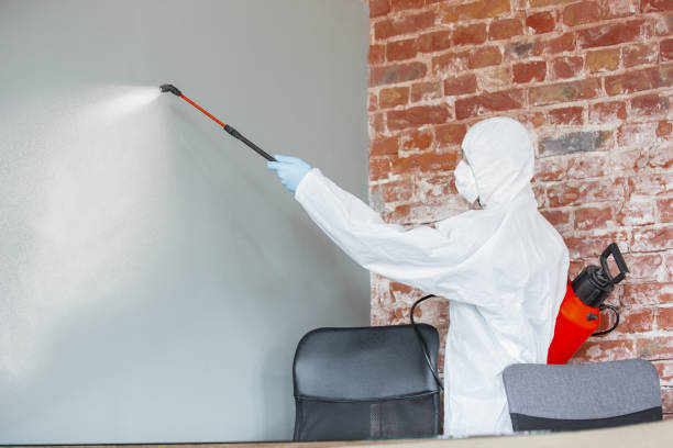 Best Water Damage & Mold Remediation  in Gardner, IL