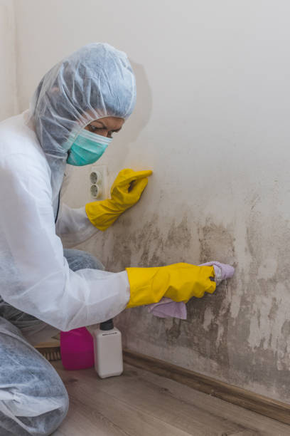 Forensic Mold Investigation in Gardner, IL