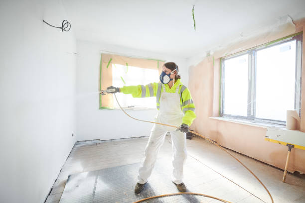 Best Basement Mold Removal  in Gardner, IL