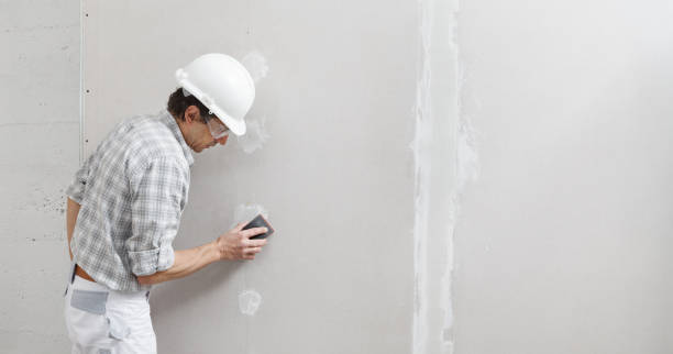 Best Environmental Consulting for Mold Prevention  in Gardner, IL