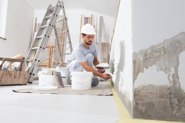 Best Mold Odor Removal Services  in Gardner, IL