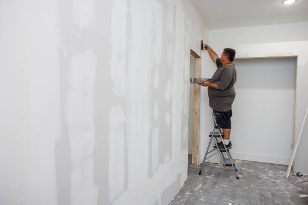 Best Mold Remediation for Healthcare Facilities  in Gardner, IL