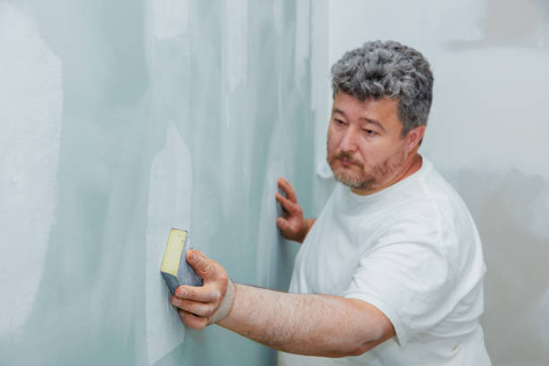 Best Post-Remediation Verification Testing  in Gardner, IL