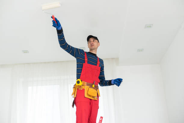 Gardner, IL Mold Removal Company