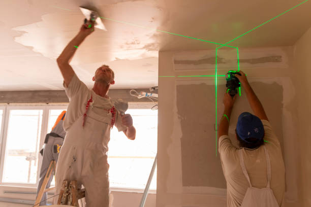 Best Post-Construction Mold Inspection  in Gardner, IL