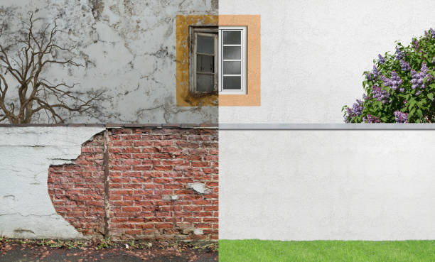 Best Mold Documentation for Insurance Claims  in Gardner, IL