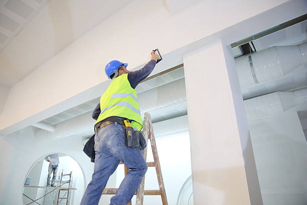 Best Forensic Mold Investigation  in Gardner, IL