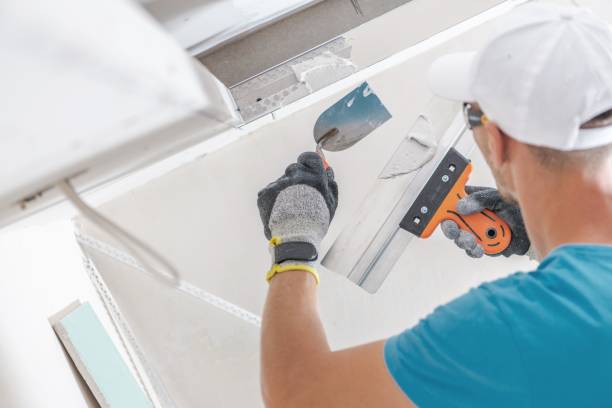 Asbestos and Lead Testing During Mold Inspection in Gardner, IL
